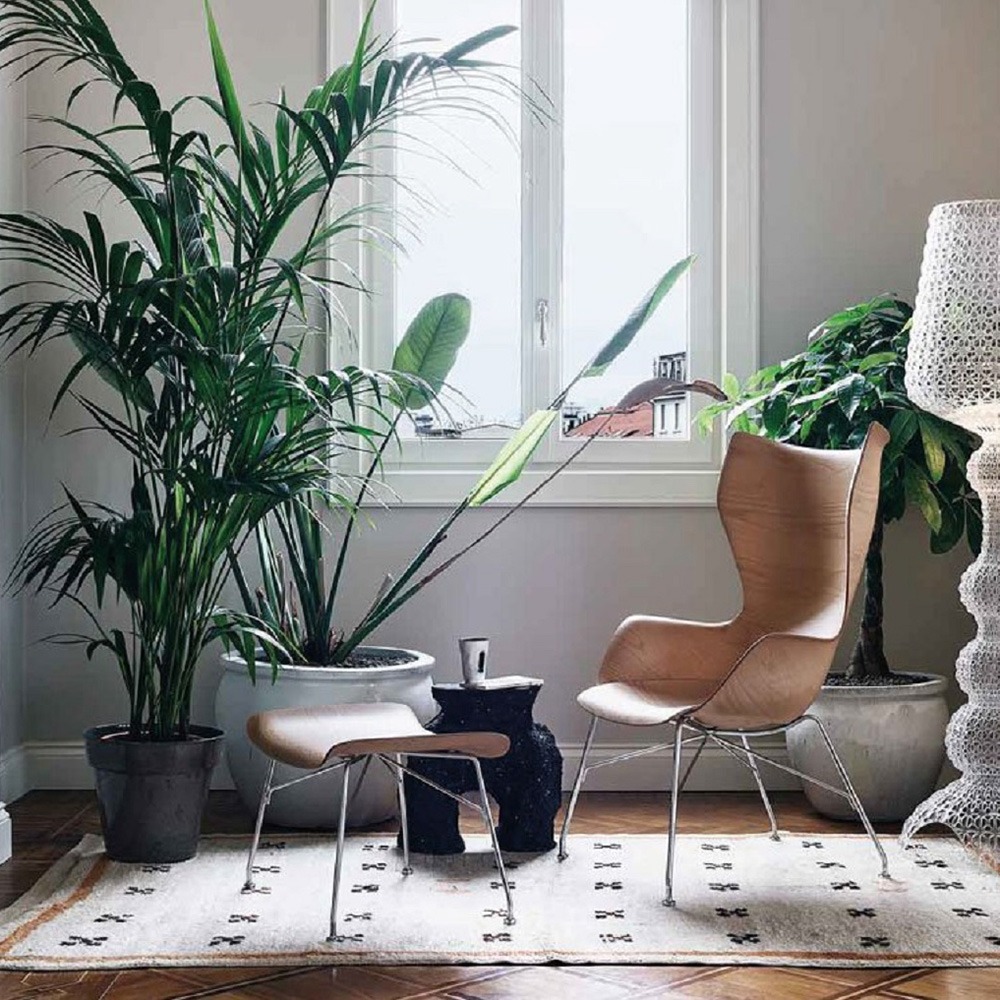 Kartell Smart Wood Chair