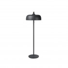 Northern Acorn Floor Lamp