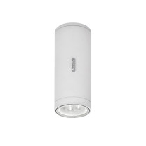 Artemide Architectural Calumet LED Outdoor Ceiling Light