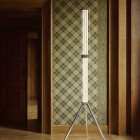 Flos Superwire LED Floor Lamp