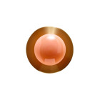 SkLO Dot 1x Wall Light - Apricot/ Brushed Brass