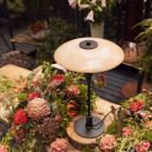 Louis Poulsen PH 3/2 Dusty Terracotta Limited Edition Table Lamp Lifestyle Greenhouse