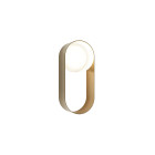 Hollis + Morris Oyster LED Sconce - Brass