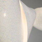 a-emotional light Ballet Elance details