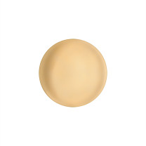 Foscarini Anoor LED Wall / Ceiling Light Piccola Champagne