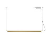 Compendium Suspension Light in Brass