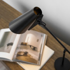 Northern Birdy Table Lamp