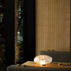 Bocci 73t Table and Wall Light