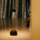 Brown Marset Sips LED Portable Table Lamp