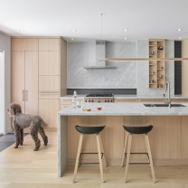 Hollis + Morris Bennington LED Horizontal Pendant