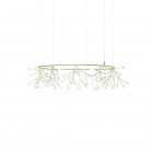 Moooi Heracleum III The Small Big O LED Suspension Green