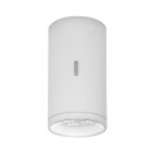 Artemide Architectural Calumet LED Outdoor Ceiling Light 13 White