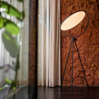 Black Flos Superloon LED Floor Lamp