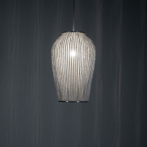 a-emotional light Coral Galaxea