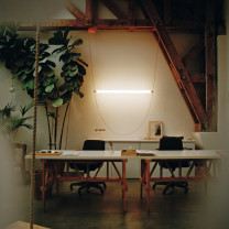 Green Flos Wireline LED Suspension