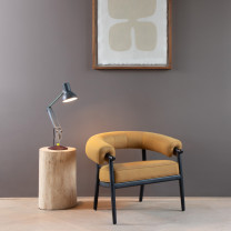 Anglepoise Type 75 Paul Smith Mini  Edition Four