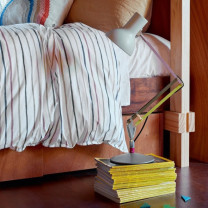 Anglepoise + Paul Smith Mini Desk Lamp Edition One