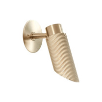 J. Adams & Co Spot Pro Wall Light Satin Brass