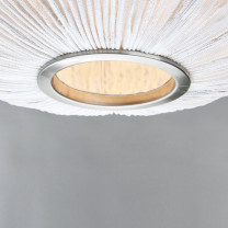 a-emotional light Coral Seaurchin detail