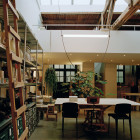 Green Flos Wireline LED Suspension