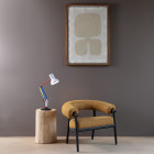Anglepoise Type 75 Paul Smith Mini Desk Lamp in Sitting Room
