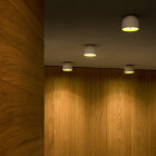 White Flos Wan Ceiling/Wall Lights