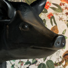 Moooi Pig Table Closeup