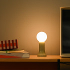 Sea Green Tala Shore Table Lamp