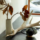 Bocci 100t Table Lamp Lifestyle Retail Space