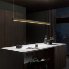 Brass BEGA 51264 LED Suspension