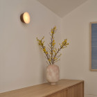 Hollis + Morris Berm Acrylic LED Sconce