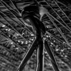 Moooi Carbon Bar Stool - Details