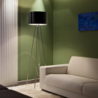 Black Flos Ray F2 Floor Lamp