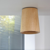 Case Solid Cone Downlight Oak in Hallway