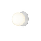 Nuura Liila 1 Wall / Ceiling Light - Silver