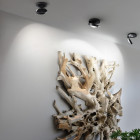 Lodes Nautilus LED Ceiling Light in Multiples