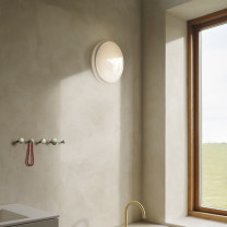 Muuto Looped Wall/ Ceiling Lamp IP44