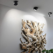 Lodes Nautilus LED Ceiling Light in Multiples