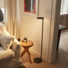 Anthracite Flos Oblique LED Floor Lamp