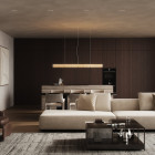 Flos Luce Orizzontale LED Suspension