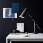 Northern Birdy Table Lamp on Desk