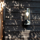 Hackles Black Tala The Muse Wall Light