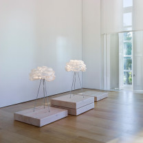 a-emotional light Table Lamp in living room