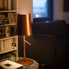 Large Copper Foscarini Birdie Table Lamp