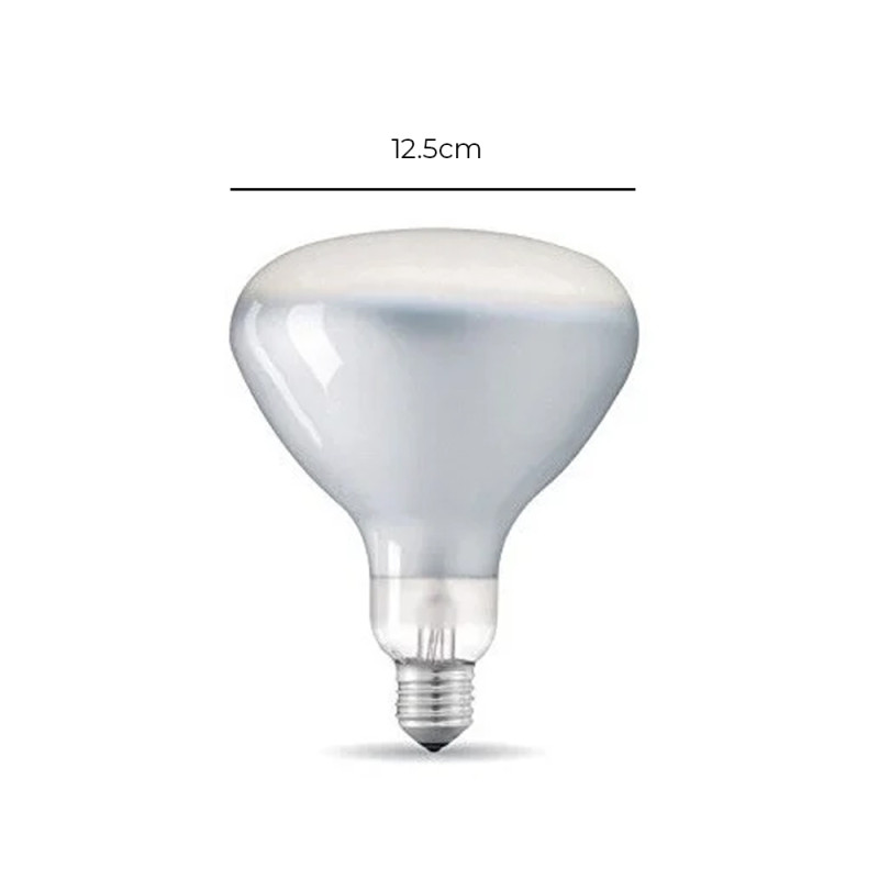 Specification Image for Flos Parentesi 12W E27 Bulb