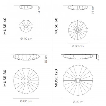 Specification Image for Axolight Muse Ceiling/Wall Light
