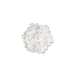 Slamp Clizia Wall/Ceiling Light