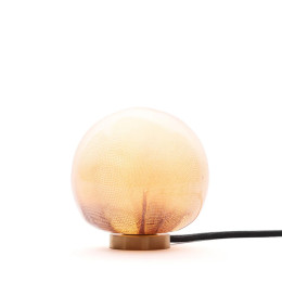 Bocci 84t Table and Wall Light